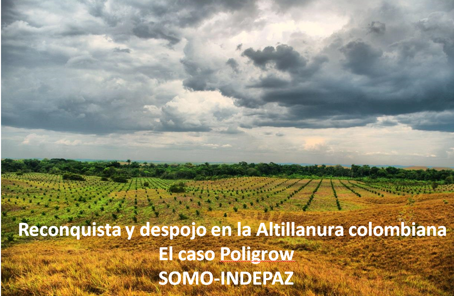 Gráfica alusiva a Proyectos de palma de aceite en la Orinoquía colombiana