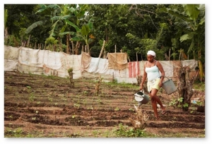Gráfica alusiva a Foro Campesino: Desarrollo Rural y Economía Campesina 
