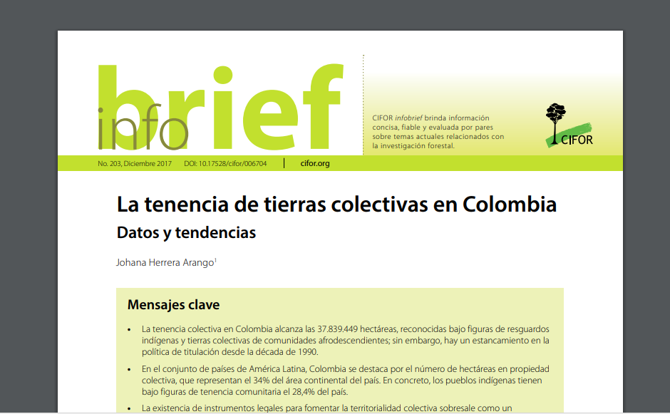 Gráfica alusiva a La tenencia de tierras colectivas en Colombia: datos y tendencias