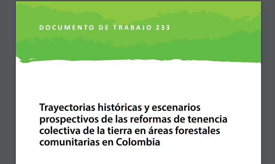 Gráfica alusiva a Trayectorias históricas y escenarios prospectivos de las reformas de tenencia colectiva de la tierra en áreas forestales comunitarias en Colombia