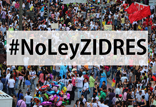 Gráfica alusiva a Intervención ciudadana del Grupo Semillas en apoyo a la demanda de la Ley Zidres